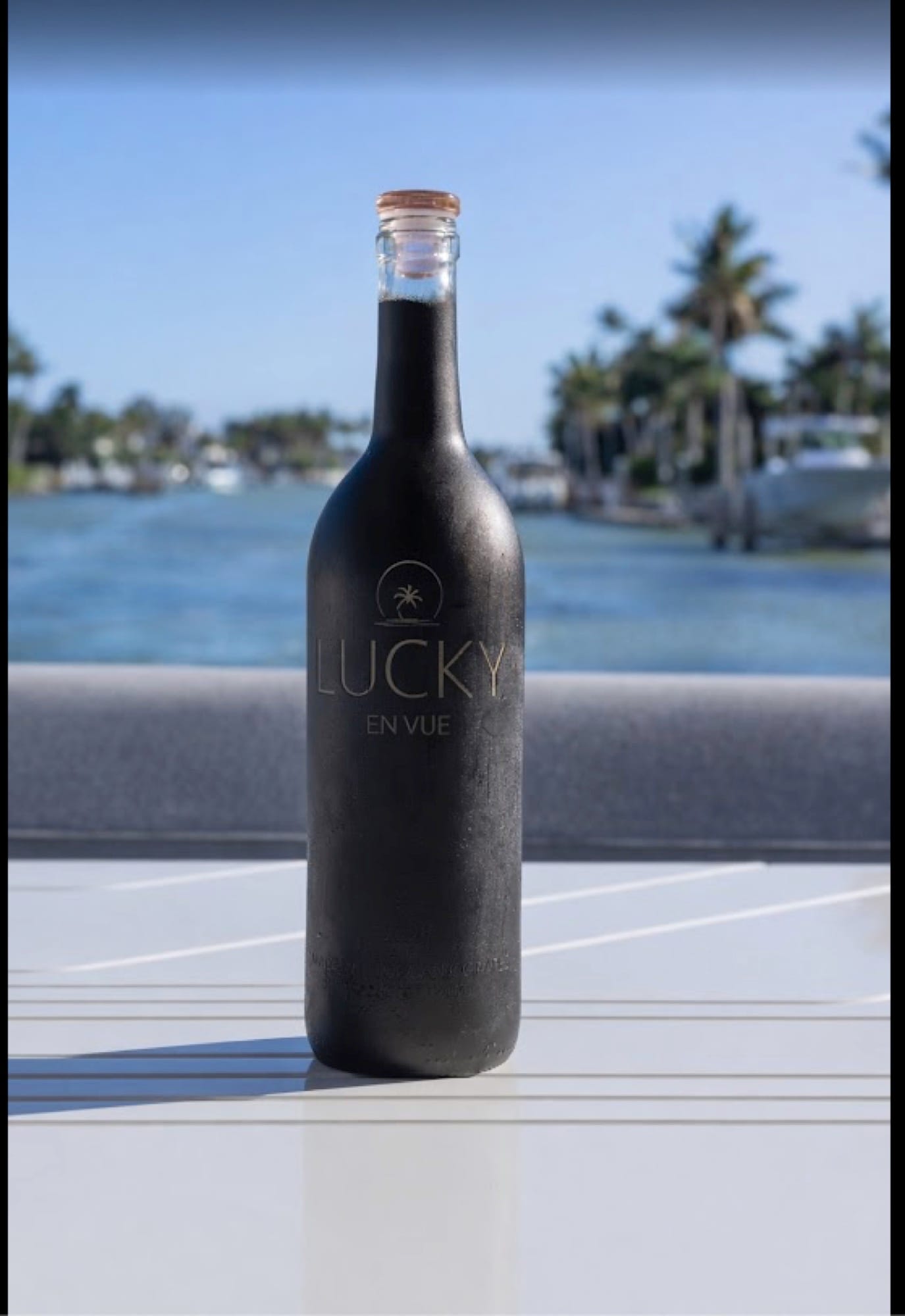 Lucky En Vue — Naples waterfront